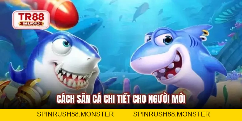 Cách Chơi Bắn Cá Trực Tuyến Hiệu Quả Và Dễ Thắng - spinrush88