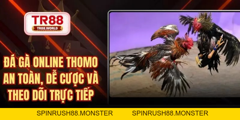 Đá Gà TR88 Sân Chơi Trực Tuyến Đỉnh Hàng Đầu Hiện Nay - spinrush88