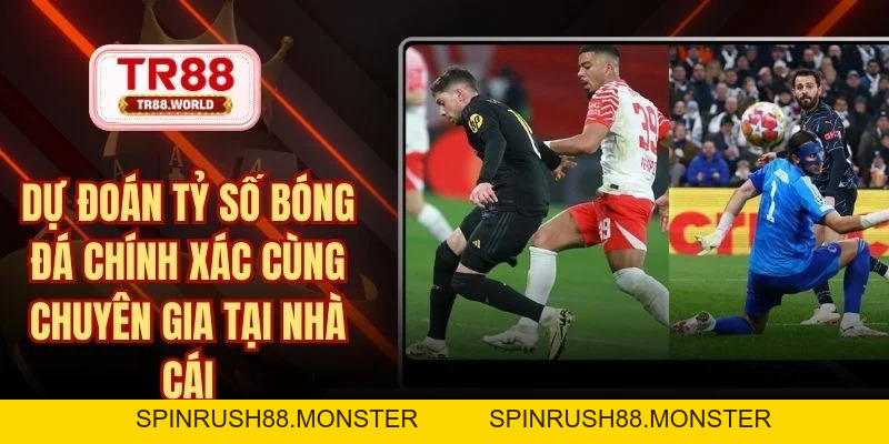 Thể Thao TR88 Sân Chơi Giải Trí Đẳng Cấp Hàng Đầu Châu Á - spinrush88