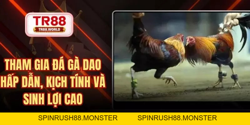 Đá Gà TR88 Sân Chơi Trực Tuyến Đỉnh Hàng Đầu Hiện Nay - spinrush88