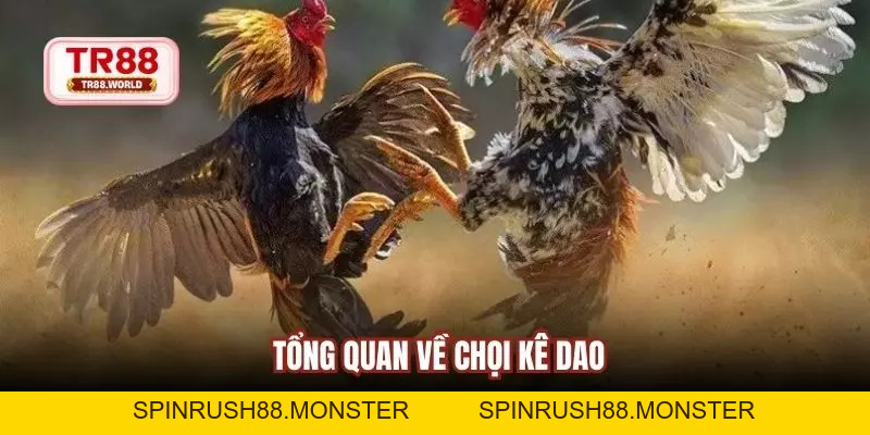 Tham Gia Đá Gà Dao Hấp Dẫn, Kịch Tính Và Sinh Lợi Cao - spinrush88